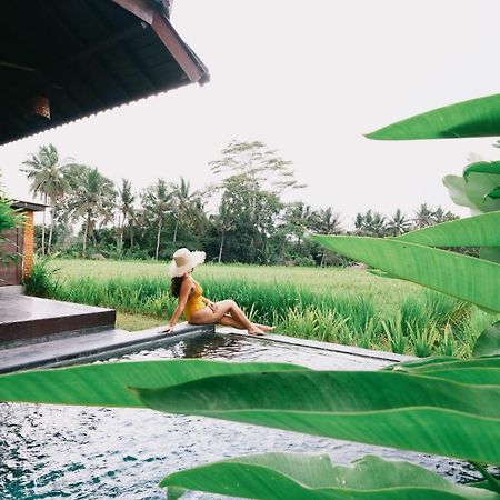 Kayangan Villa Ubud Tegallalang  Extérieur photo