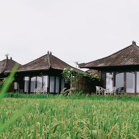 Kayangan Villa Ubud Tegallalang  Extérieur photo