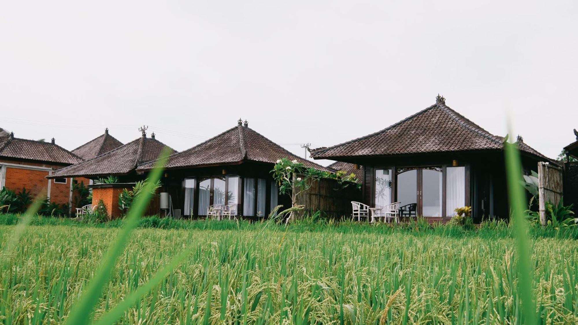 Kayangan Villa Ubud Tegallalang  Extérieur photo