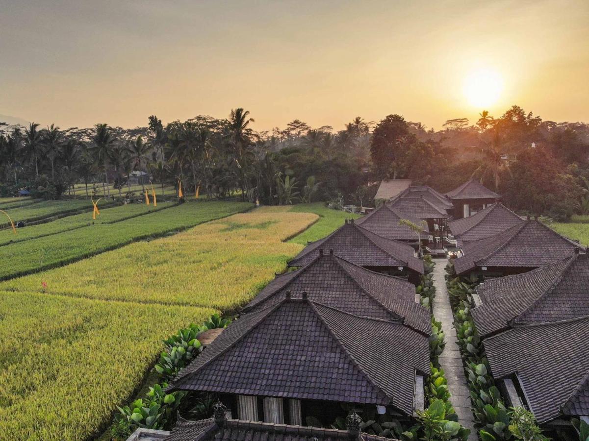 Kayangan Villa Ubud Tegallalang  Extérieur photo