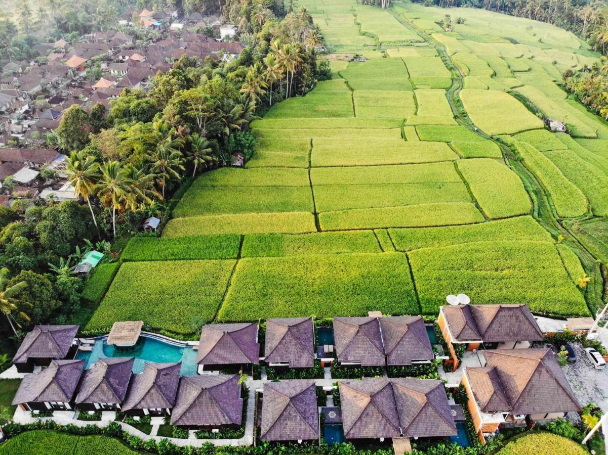 Kayangan Villa Ubud Tegallalang  Extérieur photo