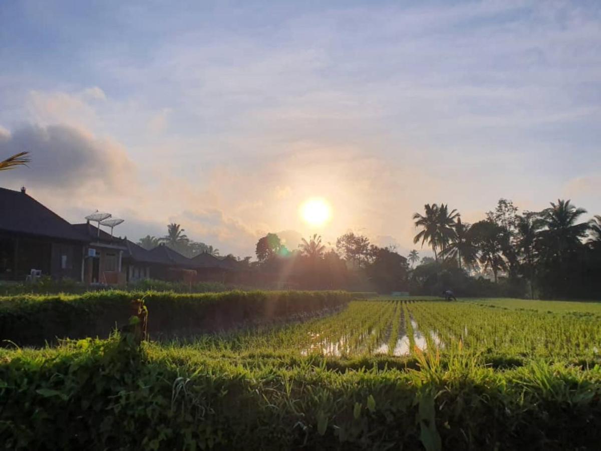 Kayangan Villa Ubud Tegallalang  Extérieur photo